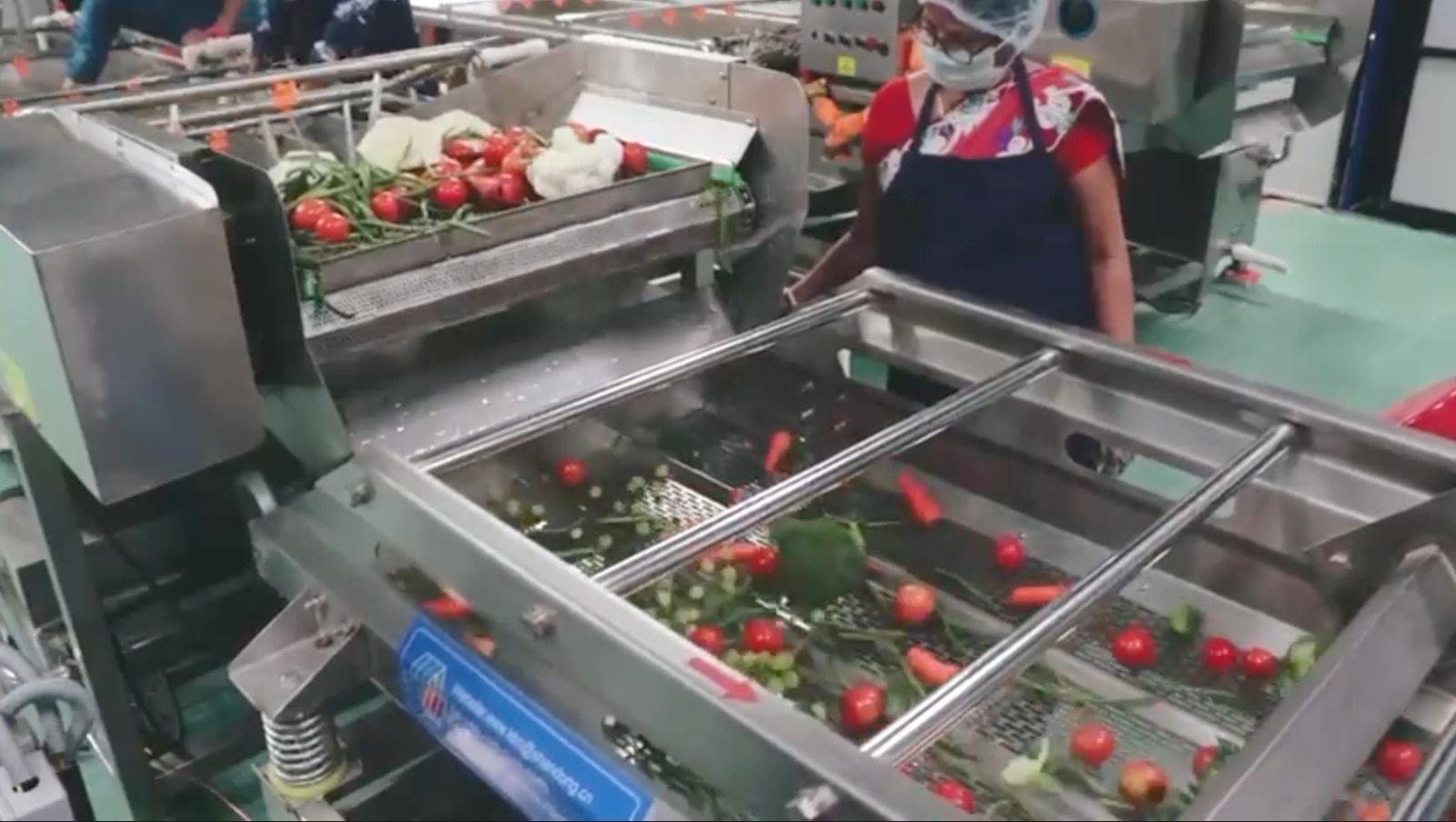 WhatsApp Image 2025-07-31 at 11.51.49 AM.jpeg